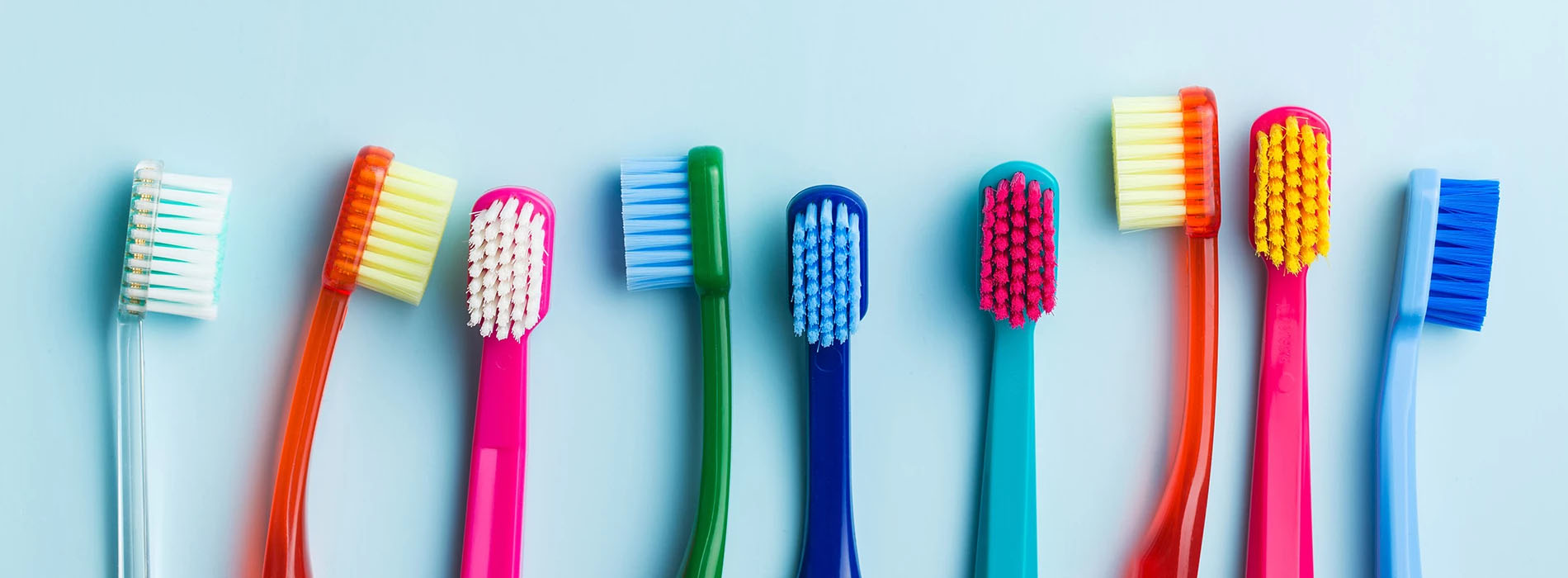 The image shows a collection of multicolored toothbrushes with bristles, arranged in a row against a light blue background.