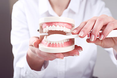 The image shows a person s hand holding a dental model with teeth, and the background is blurred but appears to be an indoor setting.